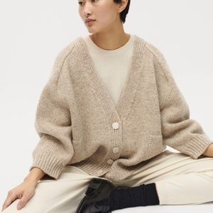 Babaa No. 51 in mist